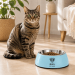 Personalized Dog Cat Nose Food-Grade Stainless Steel Non-Slip Pet Bowl with Name Pet Feeding Supplies Birthday Gift for Pet Owners