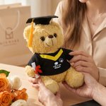 Personalized Cute Graduation Teddy Bear Plush Toy with Sash Name Year and School Logo Graduation Gift for Graduates