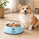 Personalized Dog Cat Nose Food-Grade Stainless Steel Non-Slip Pet Bowl with Name Pet Feeding Supplies Birthday Gift for Pet Owners