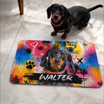 Personalized Graffiti Oil Painting Style Crown Pet Photo Pet Feeding Mat with Name Home Decor Pet Supplies Birthday Gift for Pet Owners Lovers