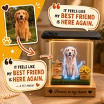 Personalized 3D Holographic Digital Pet House with Text Interactive Tech Memorial Anniversary Gift for Cat Dog Lovers