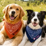 Personlig, söt hundbandana i flera färger med tass-, stjärna- och hjärtmotiv samt broderat namn – för daglig användning utomhus, perfekt som födelsedagspresent till husdjursägare, djurälskare och vänn