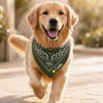 Personlig, söt hundbandana i flera färger med tass-, stjärna- och hjärtmotiv samt broderat namn – för daglig användning utomhus, perfekt som födelsedagspresent till husdjursägare, djurälskare och vänn