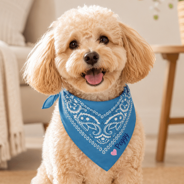 Personalized Cute Paw Star Heart Multicolor Soft Dog Bandana with Embroidered Name Daily Outdoor Use Birthday Gift for Pet Owners Lovers Friends