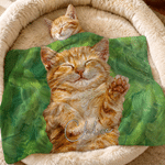 Personalized Multicolour Pet Portrait Soft Pet Blanket with Name Living Room Daily Use Birthday Gift for Pet Owner