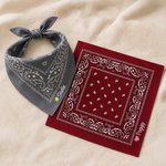 Personlig, söt hundbandana i flera färger med tass-, stjärna- och hjärtmotiv samt broderat namn – för daglig användning utomhus, perfekt som födelsedagspresent till husdjursägare, djurälskare och vänn