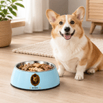 Personalized Court Oil Painting Style Pet Photo Double-Layer Non-Slip Pet Bowl with Name Pet Feeding Supplies Birthday Gift for Pet Owners