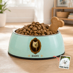 Personalized Court Oil Painting Style Pet Photo Double-Layer Non-Slip Pet Bowl with Name Pet Feeding Supplies Birthday Gift for Pet Owners