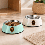Personalized Court Oil Painting Style Pet Photo Double-Layer Non-Slip Pet Bowl with Name Pet Feeding Supplies Birthday Gift for Pet Owners