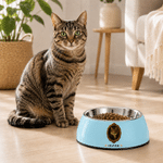 Personalized Court Oil Painting Style Pet Photo Double-Layer Non-Slip Pet Bowl with Name Pet Feeding Supplies Birthday Gift for Pet Owners