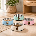 Personalized Court Oil Painting Style Pet Photo Double-Layer Non-Slip Pet Bowl with Name Pet Feeding Supplies Birthday Gift for Pet Owners