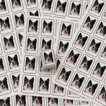 Personalized Cute Pet Photo Mahjong Sticker Party Use Mahjong Game Night Birthday Gift for Mahjong Lovers Pet Owners