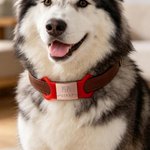Médaille d'identification personnalisée en silicone personnalisé avec motif et texte - Cadeau d'anniversaire pour les amoureux des animaux