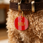 Placa acrílica personalizada para mascotas con diseño de tablero de ajedrez multicolor a rayas y nombre; ideal para el uso diario y como regalo de cumpleaños para los dueños de mascotas