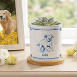 Personalized Blue and White Porcelain Style Pet Photo Ceramic Planter Pot with Name and Bamboo Tray Home Decor Memorial Birthday Gift for Pet Owner
