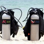 Personalized Embroidered Sea Animal Scuba Diver BCD Identification Tag Dive Tank Strap with Multicolor Name Ocean Activities  Gift for Diving Lovers