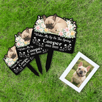 Personalised Flower Sleeping Pet Photo Garden Stake with Name and Year Memorial Sympathy Loss of Pet Gift for Pet Owner Lover
