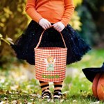 Personalized Halloween Theme Cartoon Character Large Plaid Basket with Name Trick or Treat Activity Halloween Gift for Kids