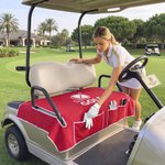 Personalised Durable Name or Logo Golf Cart Seat Cover with Pockets Golf Course Accessory Birthday Gift for Golf Lovers Players