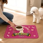 Personalised Cartoon Pet Photo Dog Cat PU Leather Food Mat with Name Daily Use Birthday Gift for Pet Lovers Owners Friends