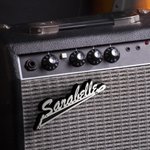 Personalized Stainless Steel Guitar Amp Nameplate Badge with Mounting Screws Music Accessories Birthday Gift for Guitar Player Musician