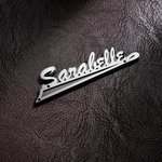 Personalized Stainless Steel Guitar Amp Nameplate Badge with Mounting Screws Music Accessories Birthday Gift for Guitar Player Musician