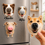 Personalized 3D Nose Design Pet Photo Magnetic Clear Acrylic Fridge Magnet with Name Home Decoration Birthday Anniversary Gift for Pet Owners Lovers