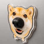Personalized 3D Nose Design Pet Photo Magnetic Clear Acrylic Fridge Magnet with Name Home Decoration Birthday Anniversary Gift for Pet Owners Lovers