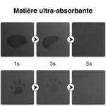Tapis de repas pour animaux personnalisé avec photo et nom - Effet peinture à l'huile - Cadeau d'anniversaire pour propriétaire d'animal