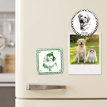Personalized Multicolour Pet Photo Fridge Magnet with Name Kitchen Decoration Birthday Anniversary Gift for Pet Owners Lovers