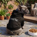 Personalised Multicolour Embroidered Pet Face Photo Hoodie with Name Daily Wear  Birthday Gift for Pet Lovers Owners Friends