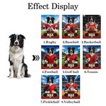 Personalised Ball Sports Pet Photo Soft Throw Blanket with Name and Number Home Decor Pet Party Birthday Gift for Pet Owners Pet Lovers