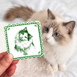 Personalized Multicolour Pet Photo Fridge Magnet with Name Kitchen Decoration Birthday Anniversary Gift for Pet Owners Lovers