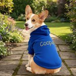 Personalised Multicolour Embroidered Pet Face Photo Hoodie with Name Daily Wear  Birthday Gift for Pet Lovers Owners Friends