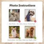 Personalized Cute Pet Photo Pumpkin Large Capacity Tote Bag with Name Halloween Party Trick or Treat Gift for Kids Pet Owners