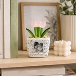Personalized Toile De Jouy Style Photo Glass Potted Plants with Text Desk Office Shelf Decor Birthday Mother's Day Gift for Mom