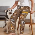 Personalized Multicolor Cartoon Dogs Soft Pajama Pants with Name and Title Daily Wear Birthday Gift for Dog Owner