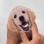 Personalized Funny Pet Face Photo Bottle Opener with Magnet Fridge Decor Bar Party Wine Accessory Birthday Gift for Friend Drinking Enthusiast