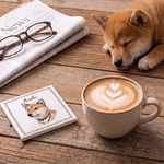 Personalised Hand-Drawn Style Border Pet Photo Square Round Ceramic Coaster with Name Home Decor Birthday Gift for Pet Owner