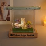 Personalised 3D Holographic Digital Pet House with Text Interactive Tech Memorial Anniversary Gift for Dog Cat Lovers