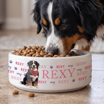 Personalised Cute Pet Photo Paw Print Ceramic Pet Bowl with Name Daily Use Pet Birthday Gift for Pet Owners