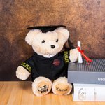 Personalised Cute Graduation Teddy Bear Plush Toy with Name and School Badge Graduation Gift for Class of 2026 Graduates