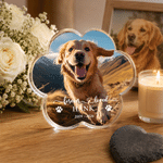 Personalised Pet Photo Paw Print Shaped Acrylic Plaque with Name and Date Home Decor Pet Memorial Anniversary Gift for Pet Owners Family
