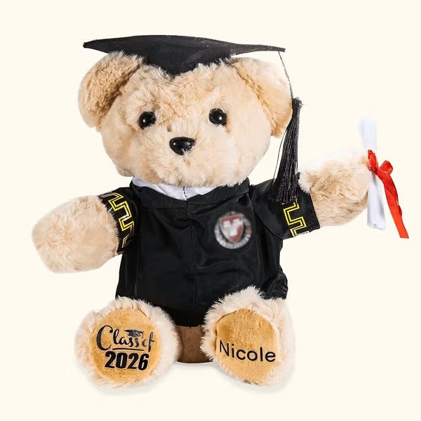 Personalized Cute Graduation Teddy Bear Plush Toy with Name and School Badge Graduation Gift for Class of 2026 Graduates