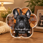 Personalised Pet Photo Paw Print Shaped Acrylic Plaque with Name and Date Home Decor Pet Memorial Anniversary Gift for Pet Owners Family
