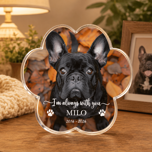 Personalised Pet Photo Paw Print Shaped Acrylic Plaque with Name and Date Home Decor Pet Memorial Anniversary Gift for Pet Owners Family