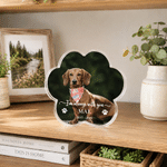 Personalised Pet Photo Paw Print Shaped Acrylic Plaque with Name and Date Home Decor Pet Memorial Anniversary Gift for Pet Owners Family