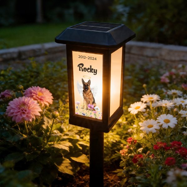 Luce solare da giardino personalizzata, con foto di animale, ali d'angelo, nome e data - Regalo commemorativo per famiglie e padroni di animali
