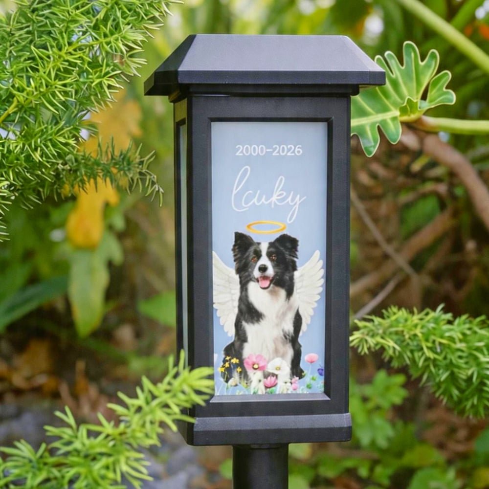 Luce solare da giardino personalizzata, con foto di animale, ali d'angelo, nome e data - Regalo commemorativo per famiglie e padroni di animali 3