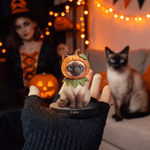 Personalized Halloween Pumpkin Witch Ghost Pet Photo Figurine with Text and Wooden Base Desk Decor Halloween Gift for Pet Owner Lover